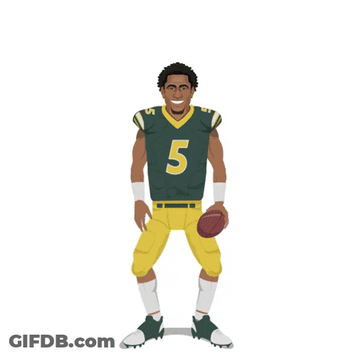 Nds Bison Football Player GIF