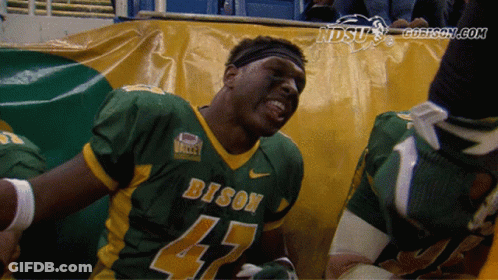 Ndsu Bison Football GIF