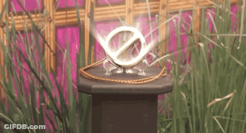 Necklace With No Sign GIF