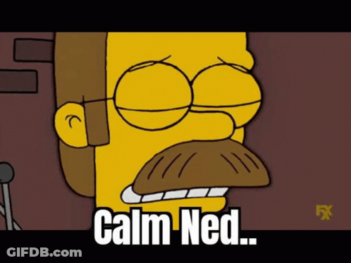 Ned Flanders The Simpsons GIF