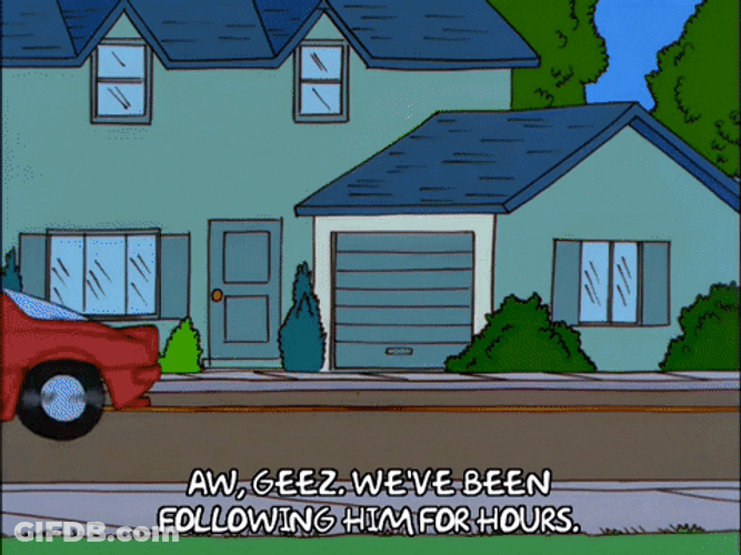 Ned Flanders We've Been Following Him For Hours GIF