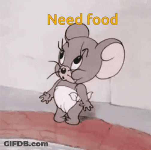 Need Food Jerry Feed Me GIF
