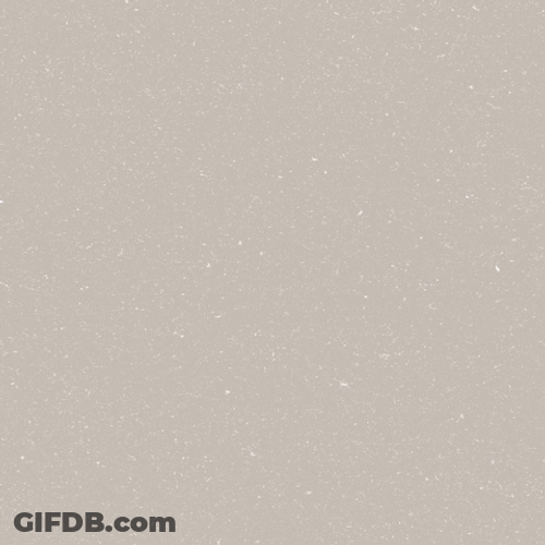 Needs Of A Pet Checklist GIF