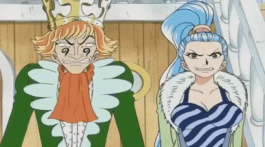 Nefertari Vivi And Mr. 9 GIF