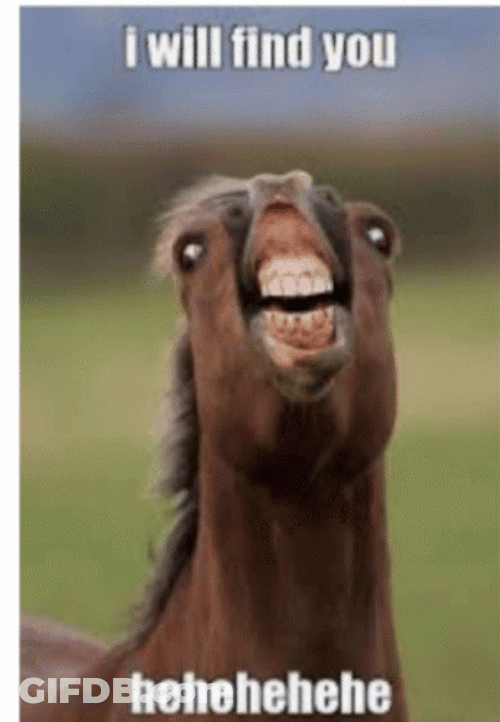 Neigh I Will Find You GIF
