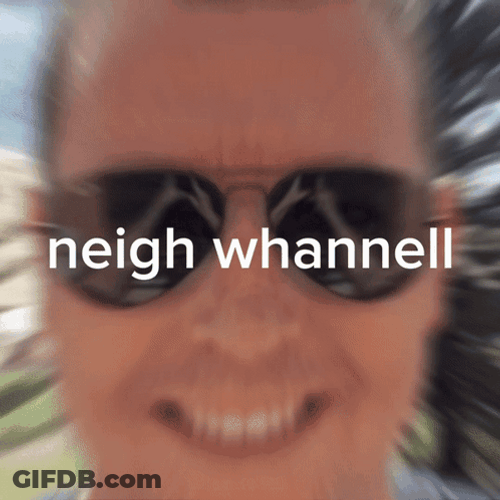 Neigh Whannell Photo With Horse GIF