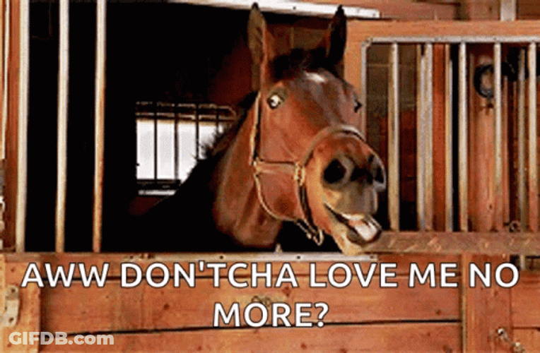 Neigh You Don't Love Me Anymore GIF