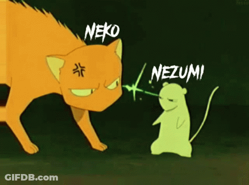 Neko And Nezumi Fighting GIF