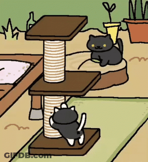 Neko Atsume Sock Playing & Scratching GIF