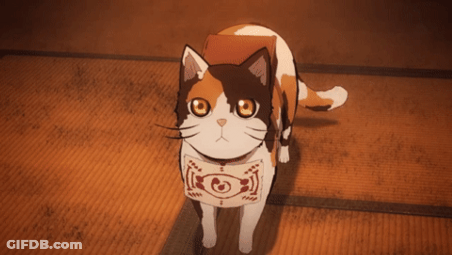 Neko Looking Up GIF