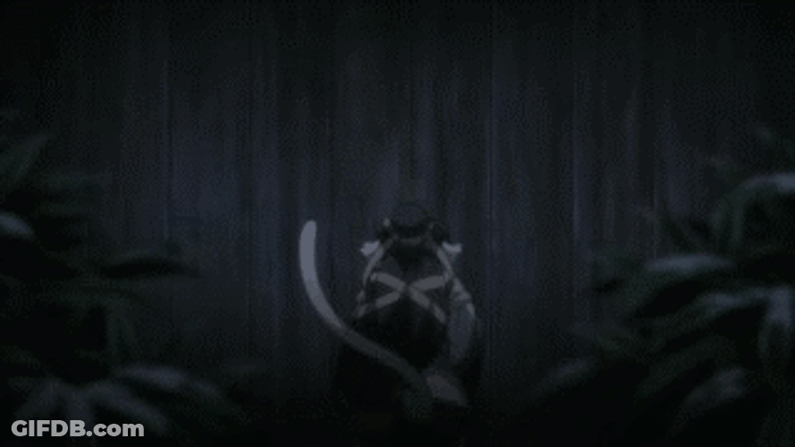 Neko Tail Anime Shocked In Woods GIF