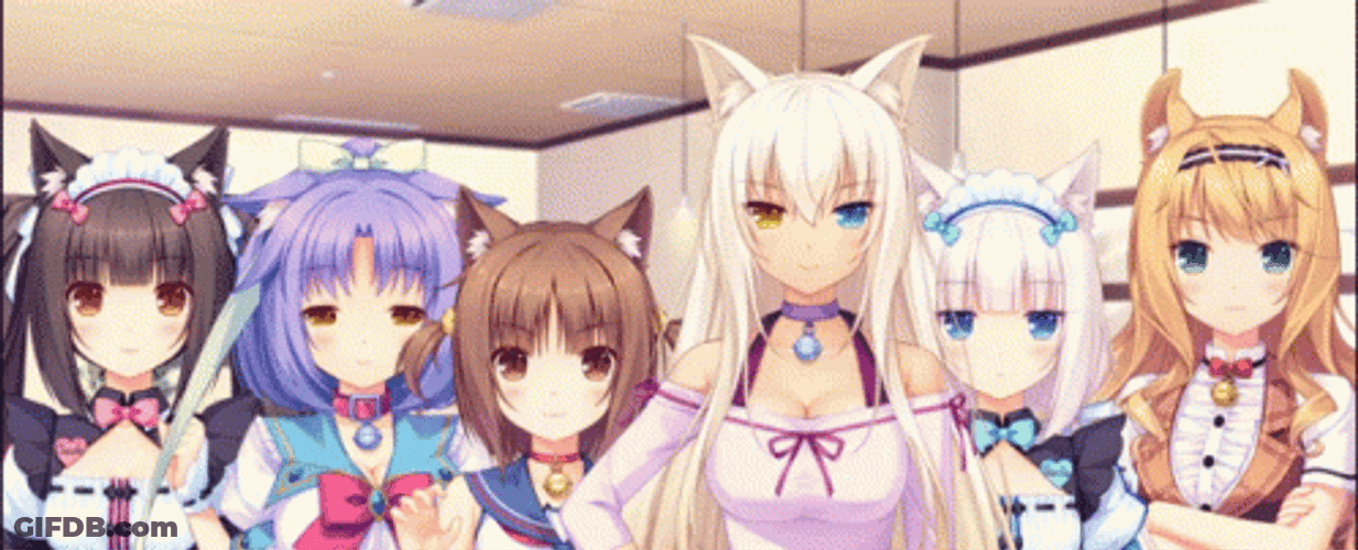 Nekopara All Characters GIF
