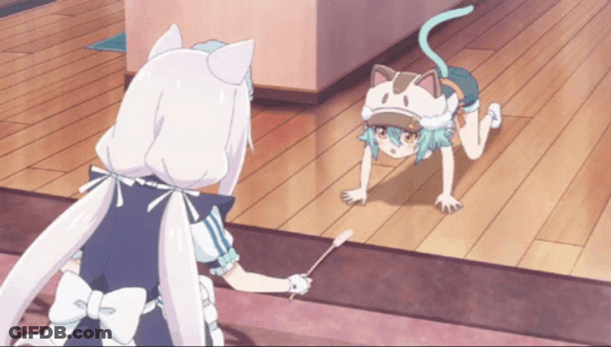 Nekopara Cat Fight GIF