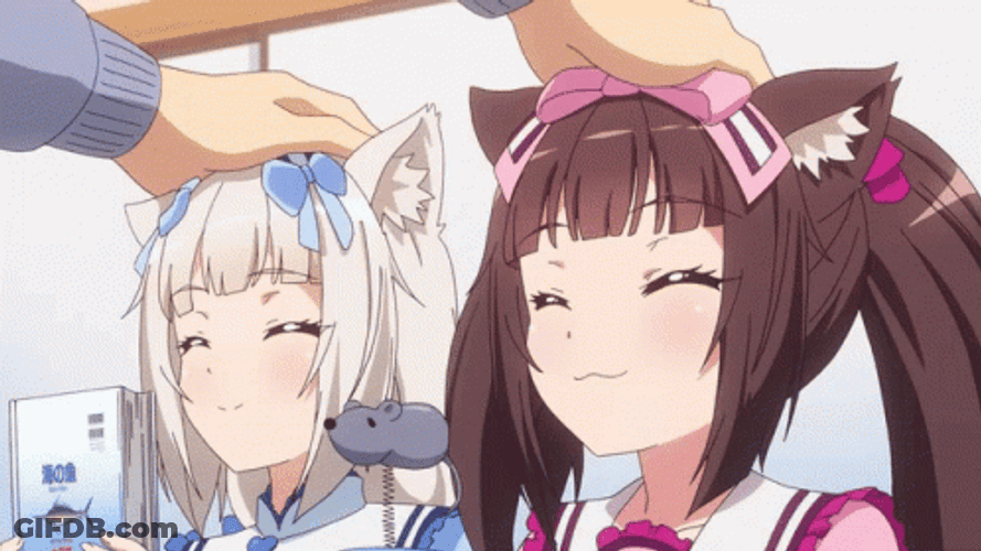 Nekopara Rubbing Their Hairs GIF