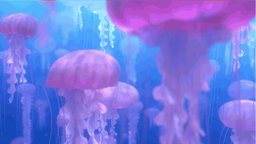 Nemo And Dory Scared At Jellyfish GIF