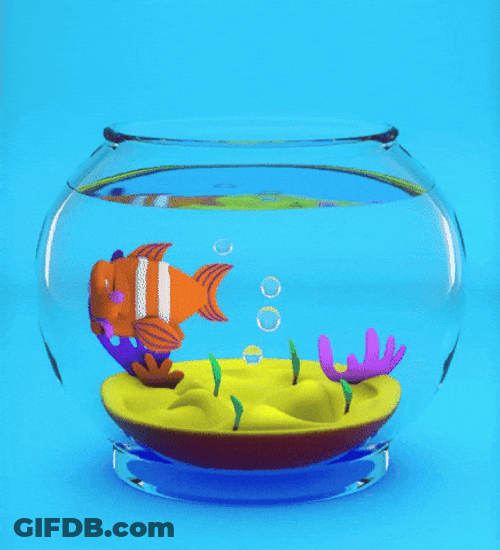 Nemo Aquarium Fish Meme GIF