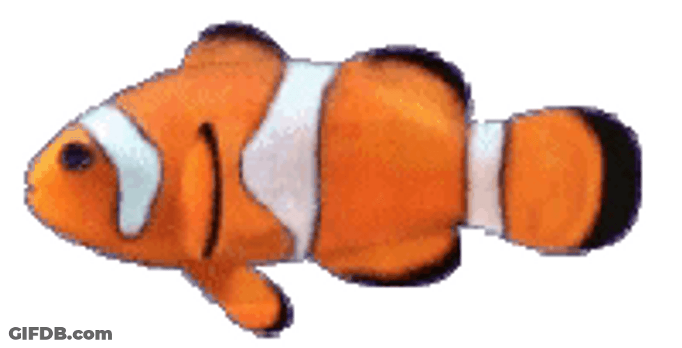 Nemo Clown Fish GIF