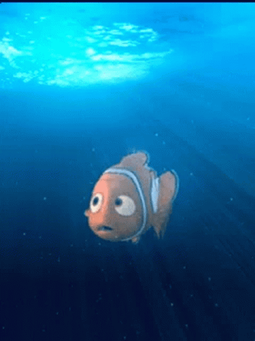 Nemo Fish Swimming Bubbles GIF