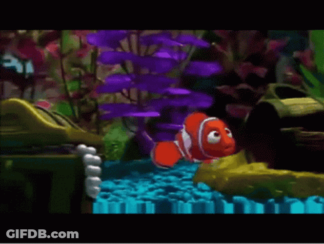 Nemo Gentle With Friends GIF