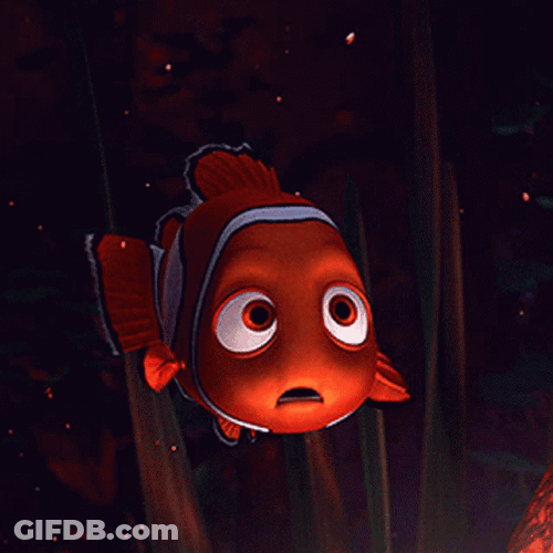 Nemo Got Confused GIF