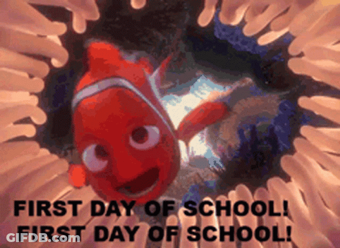 Nemo's Back To School GIF