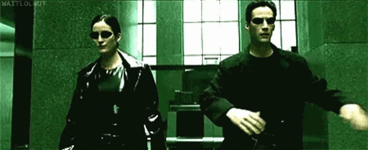 Neo And Trinity Duo In Matrix GIF