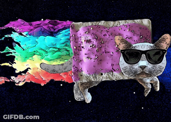 Neon Cat Wearing Shades GIF