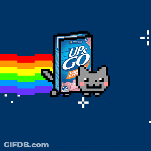 Neon Cat With Box Body GIF