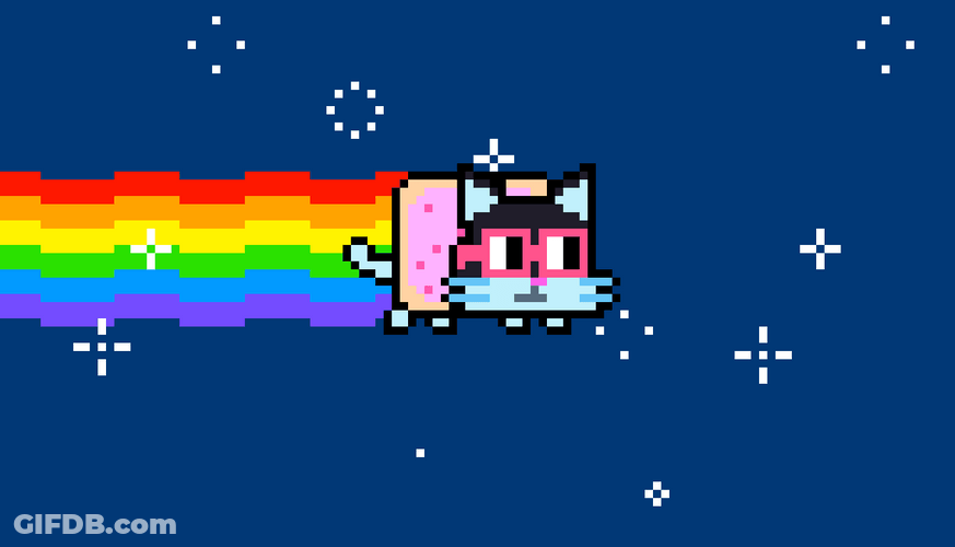 Neon Cat With Pink Shades GIF
