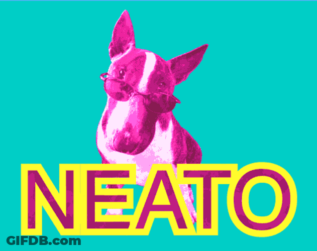 Neon Colored Dog Neat GIF