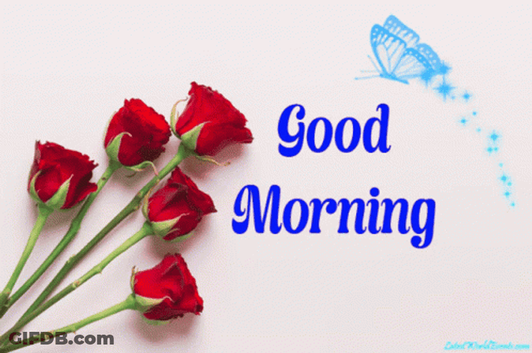 Neon Colors Good Morning Rose GIF