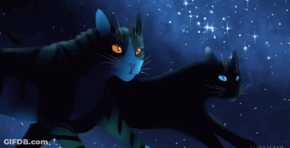 Neon Galaxy Cats GIF