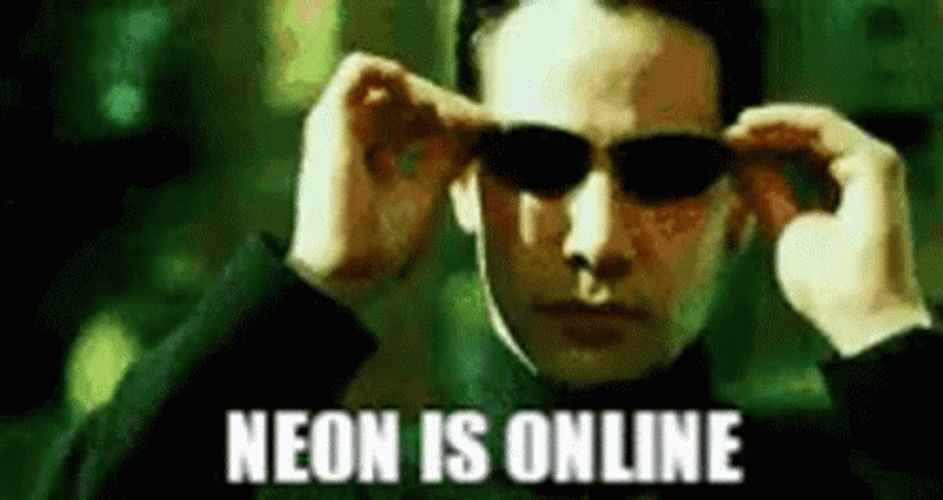 Neon Is Online In Matrix Meme GIF
