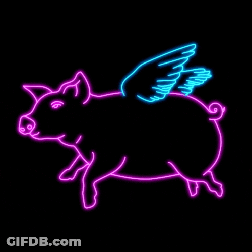 Neon Outlined Pig Flies Flapping Blue Wings GIF