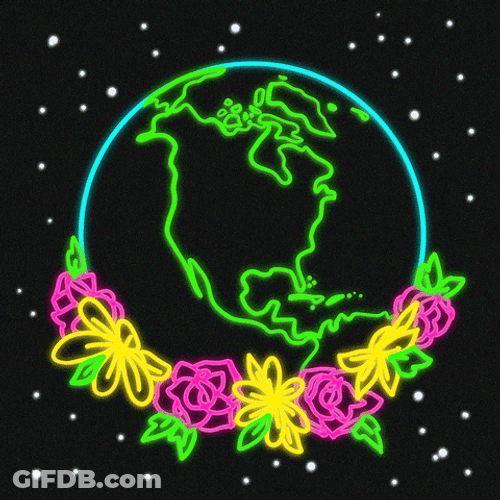 Neon Pink Neon Green GIF