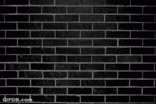 Neon Sign FC Lync SC GIF
