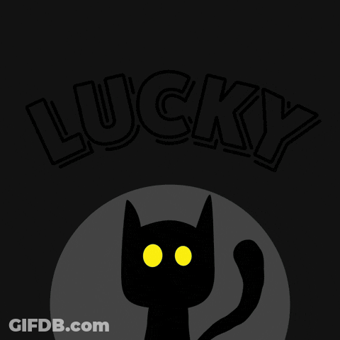 Neon Sign Saying Lucky With Cat GIF