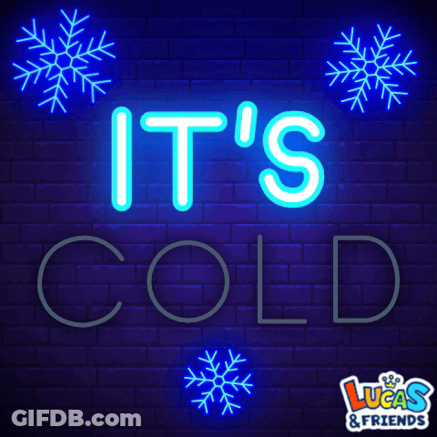 Neon Sign That Says It 'S Cold With Snowflakes GIF