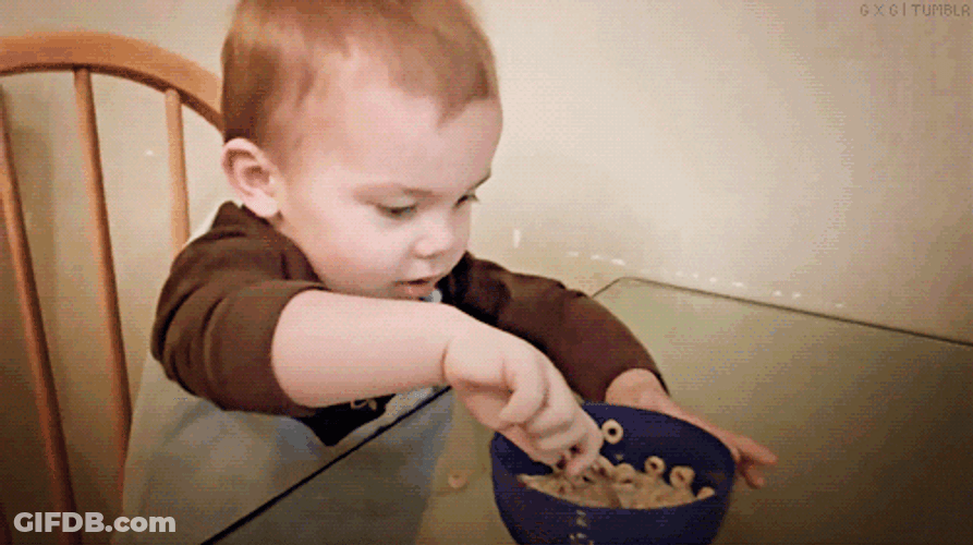 Nepo Baby Learns To Eat On Its Own GIF