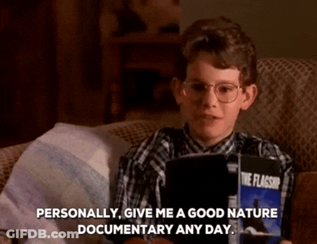 Nerd Alert Joey Zimmerman Halloween Town GIF
