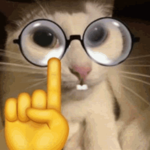Nerd Cat Gamer Number One Meme GIF
