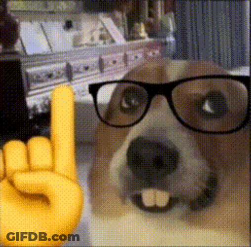 Nerd Emoji Meme Dog GIF