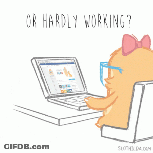Nerd Slothalida Working Hard GIF