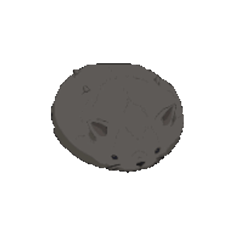 Neritantan Spin Sticker GIF
