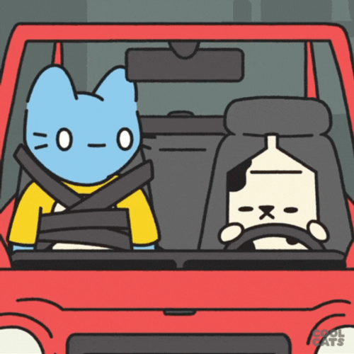 Nervous Blue Cat Safety First GIF