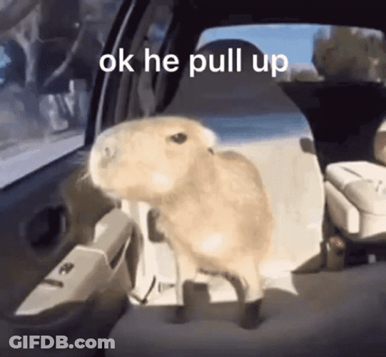 Nervous Capybara Meme GIF