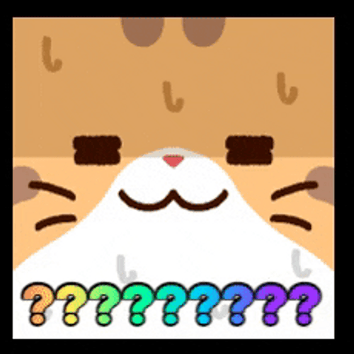 Nervous Sweating Confused Cat GIF