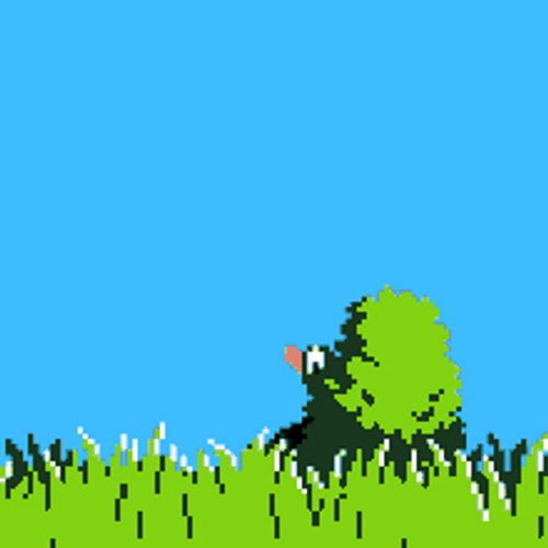Nes Duck Hunt GIF