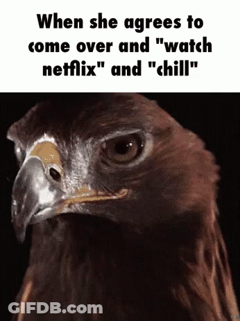 Netflix And Chill GIF