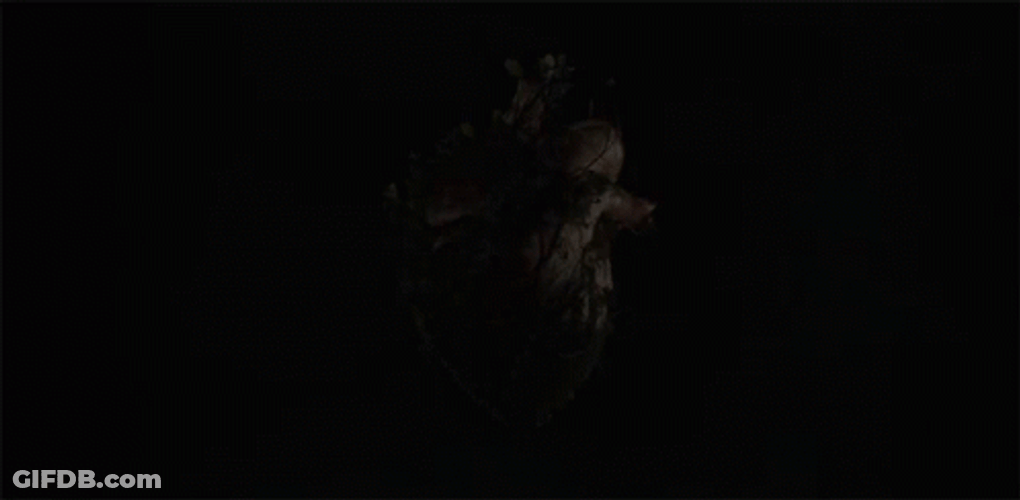Netflix Fontera Verde Intro GIF